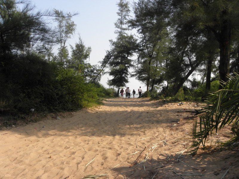 PA240401.jpg