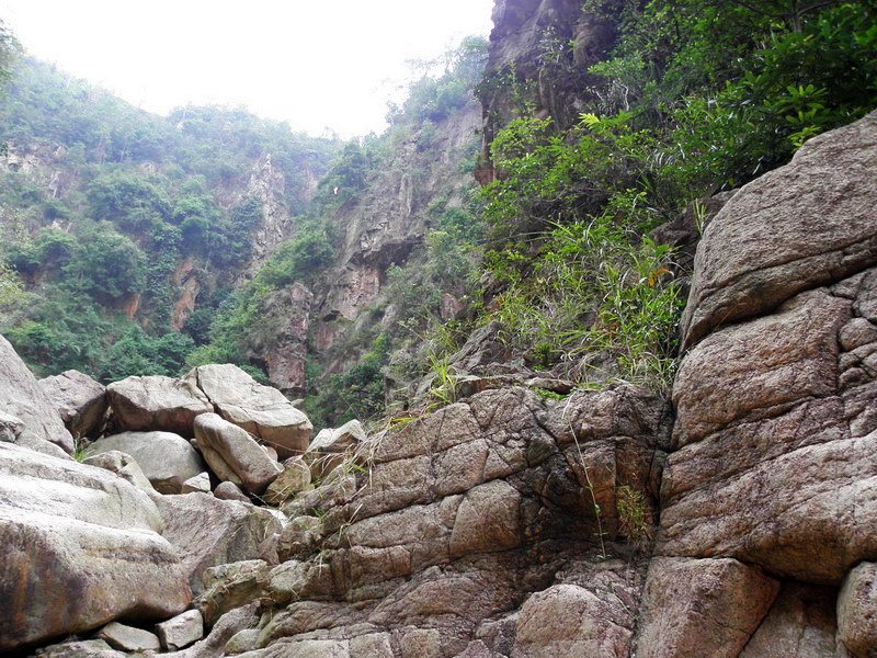 PA200136.jpg