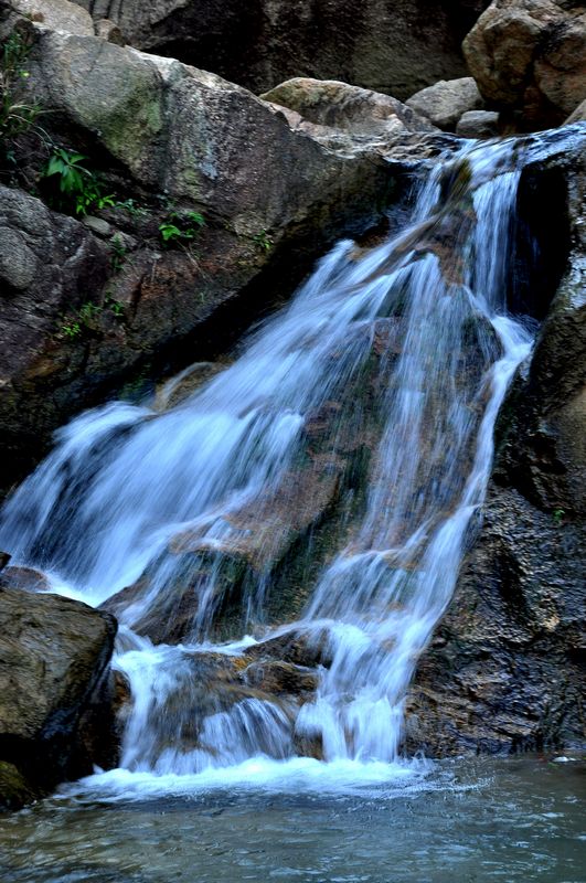 DSC_0471.JPG