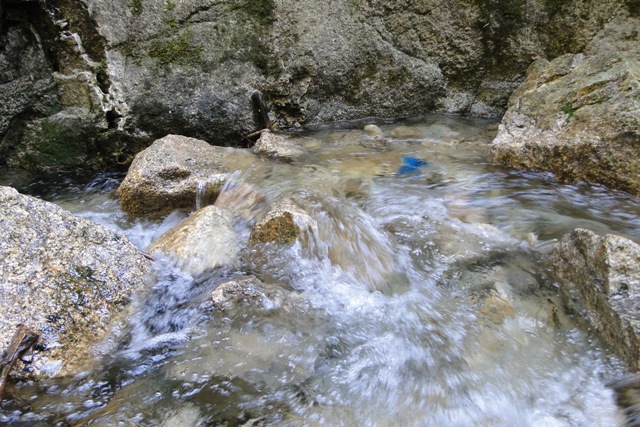عش¹ 203.JPG