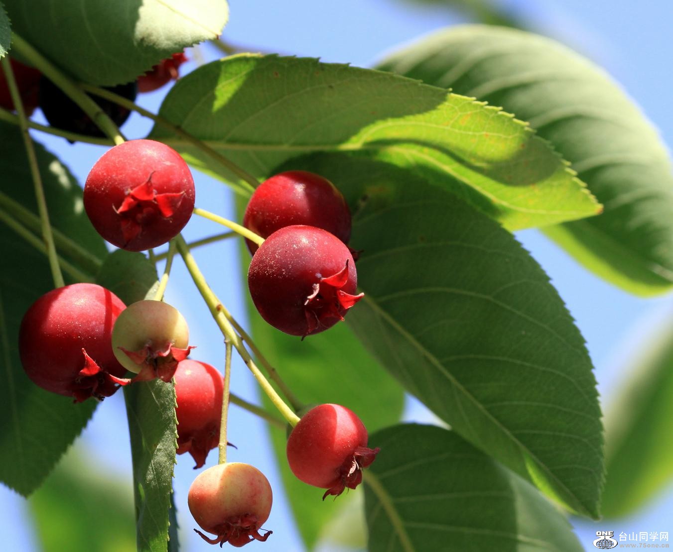 }u (3) -IMG_1106.jpg