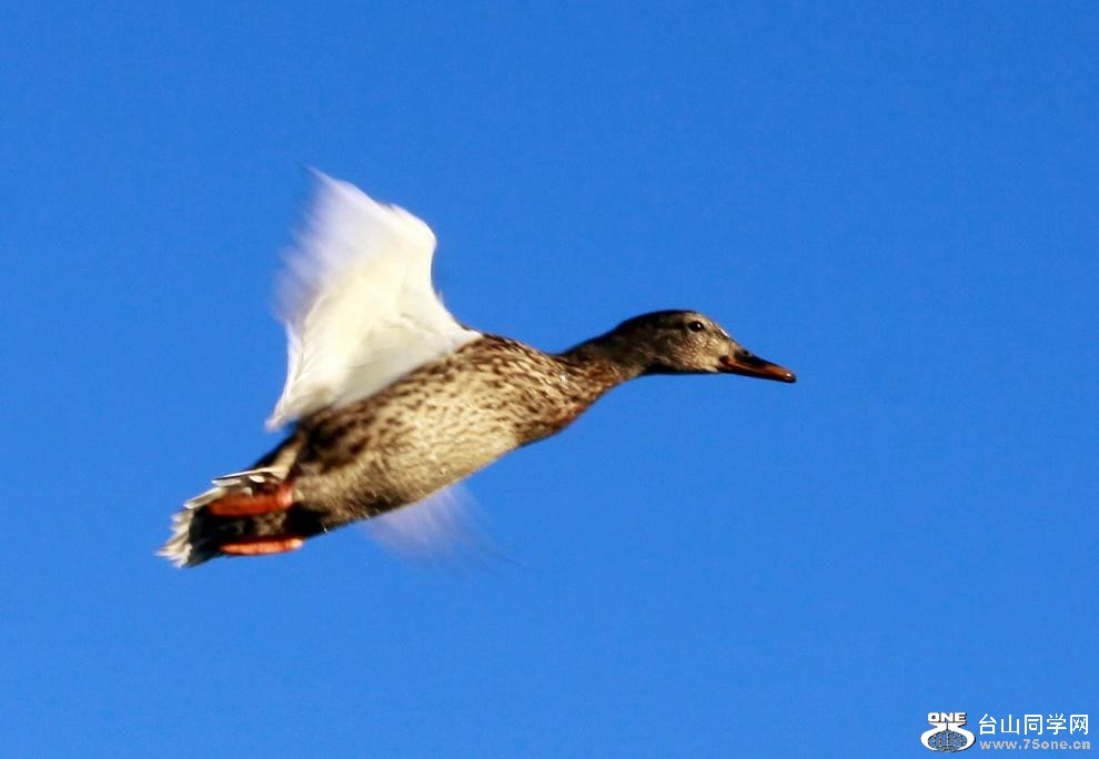 }u -}u -IMG_1276.jpg