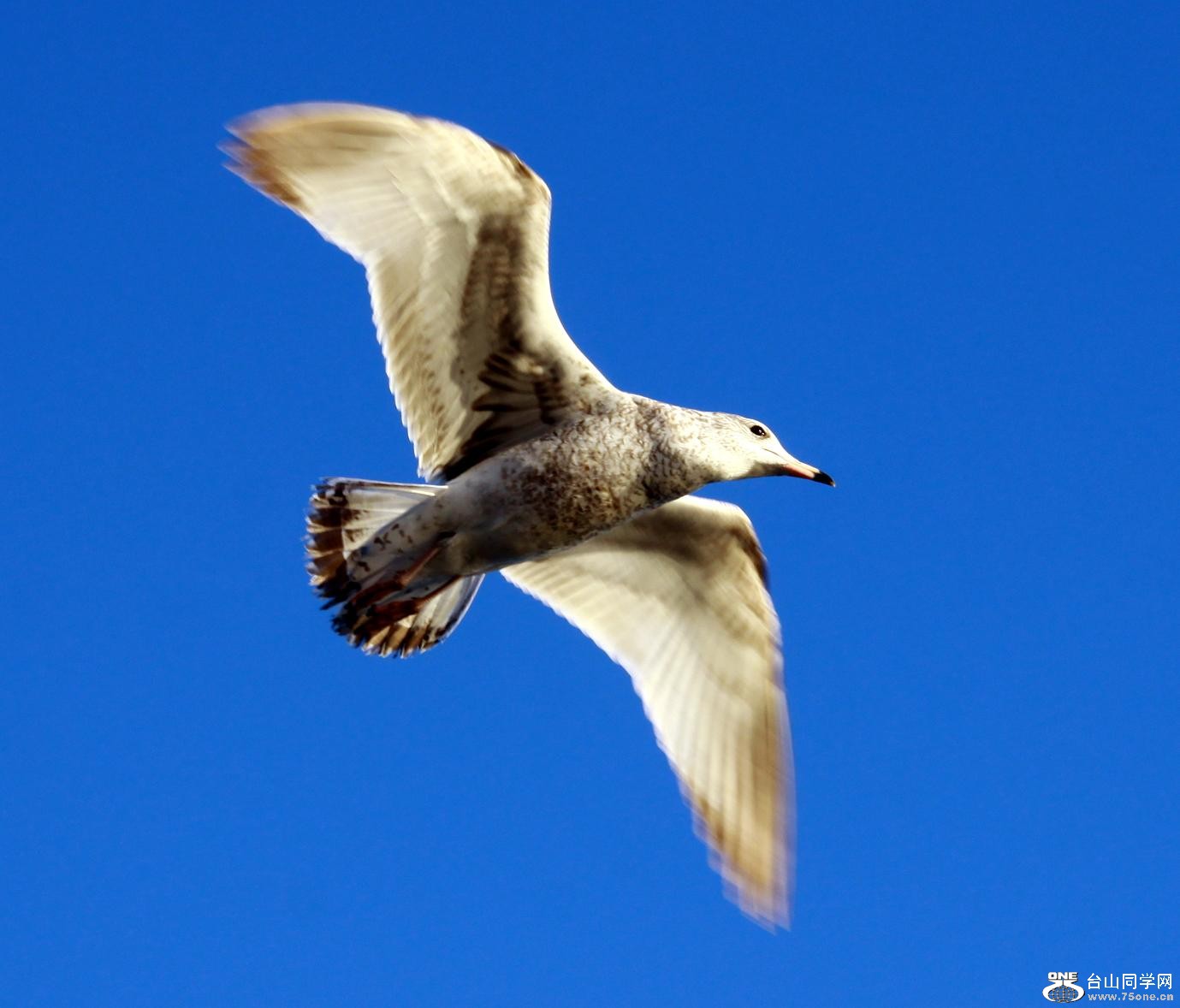 }u -}u -IMG_1330.jpg