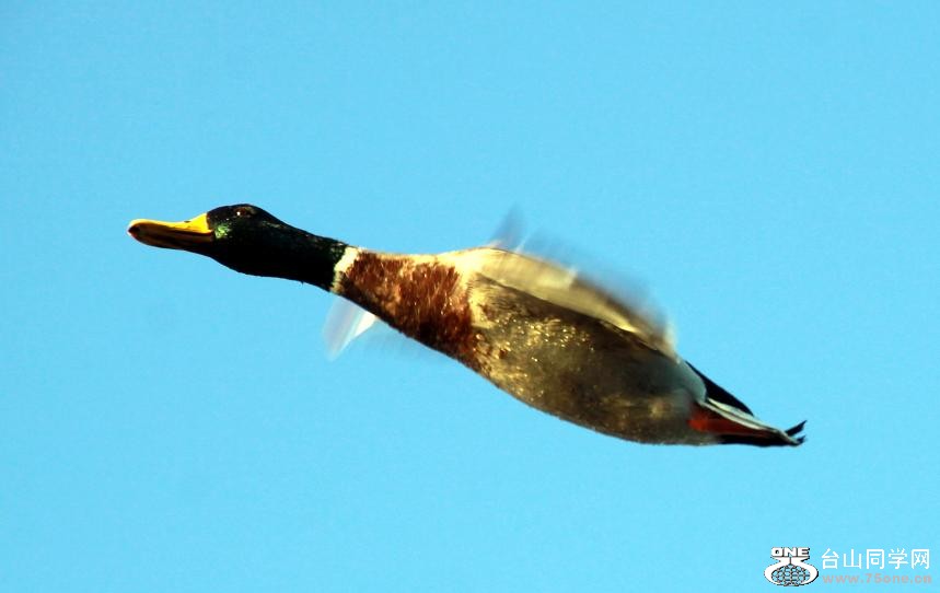 }u -}u -IMG_1297.jpg