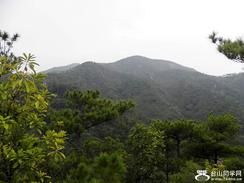 PA200103.jpg