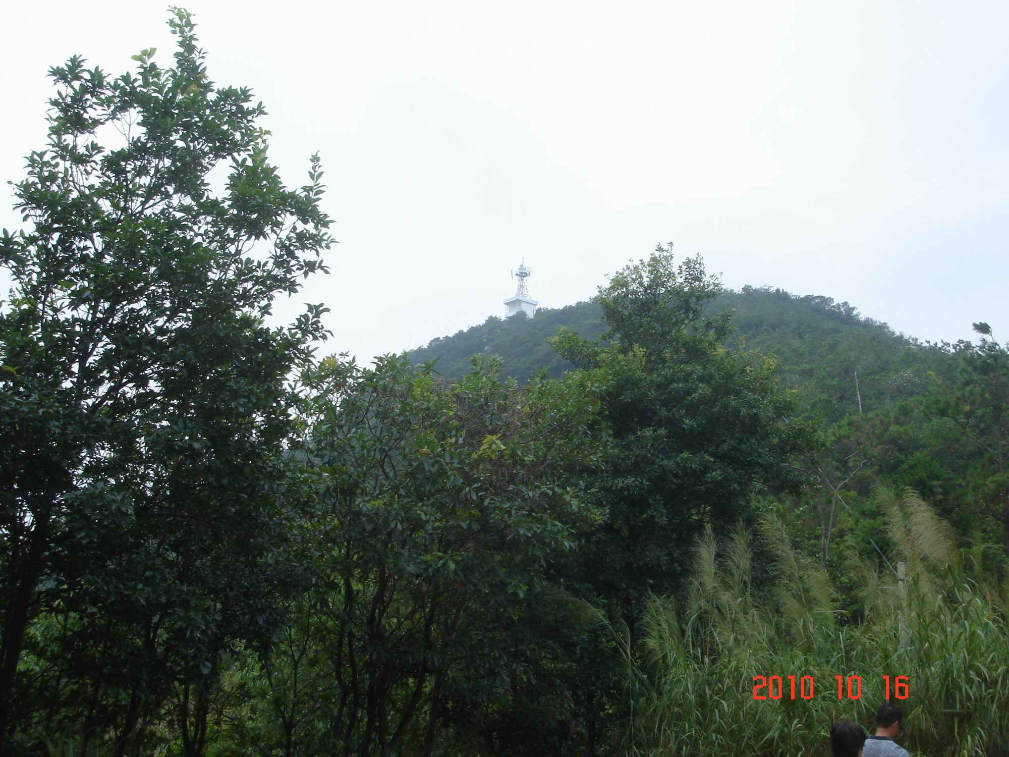 DSC02805.JPG