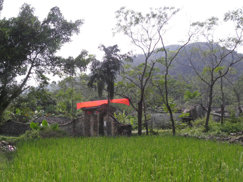 PA170096.jpg