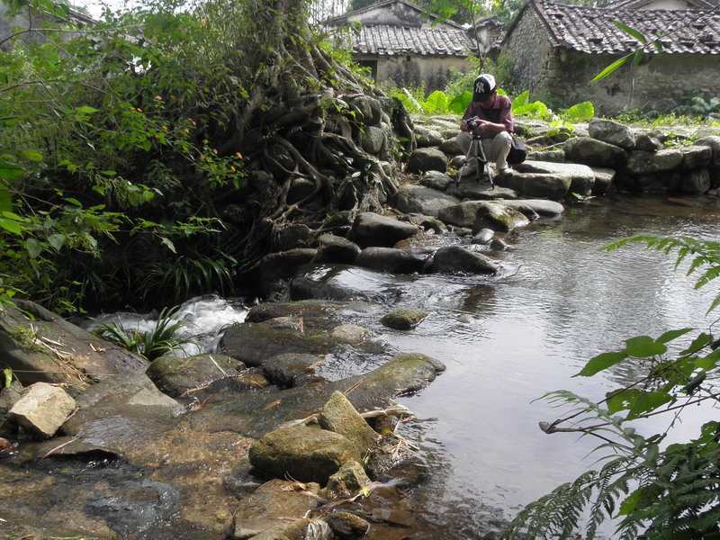 PA170105.jpg