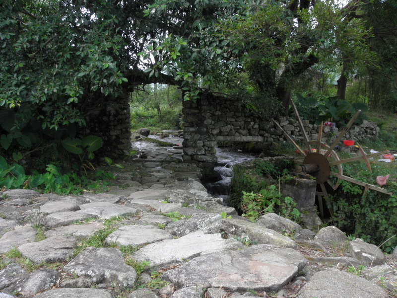 PA170120.jpg