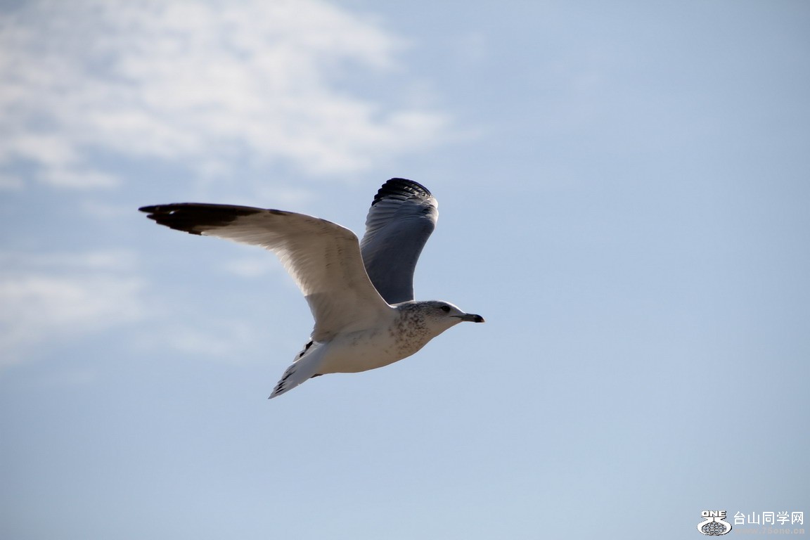 IMG_1545.jpg