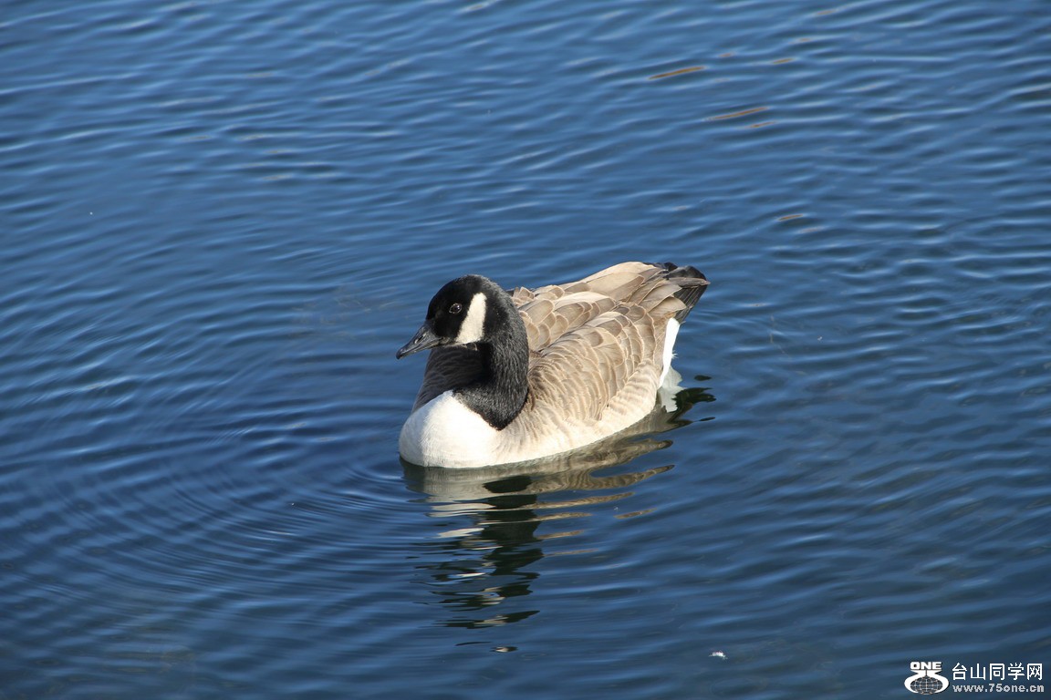 IMG_1322.jpg