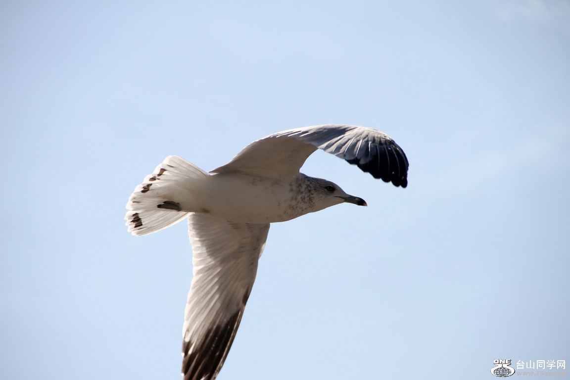 IMG_1546.jpg
