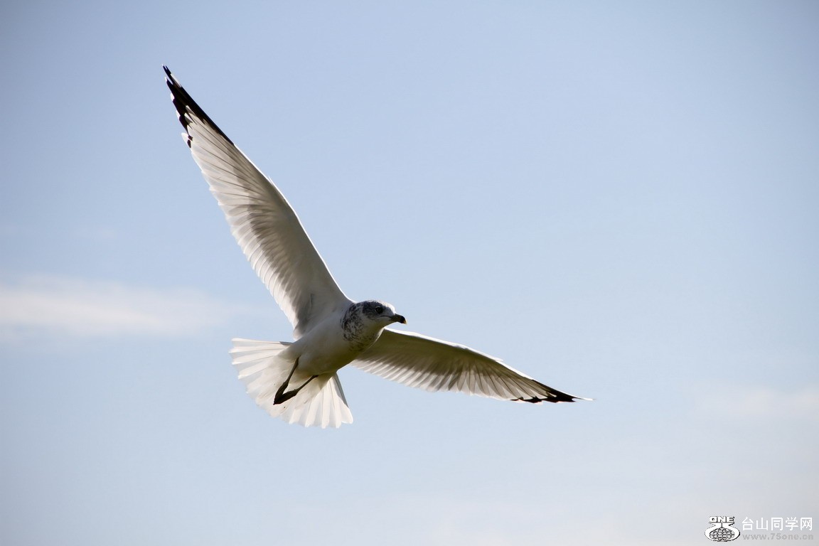 IMG_1529.jpg