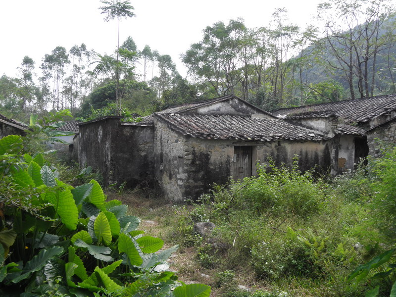 PA170103.jpg