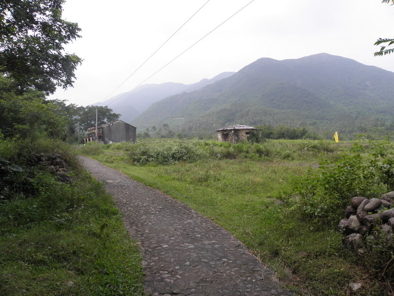 PA170106.jpg