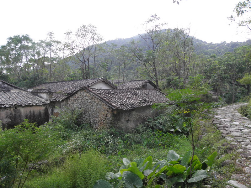 PA170104.jpg
