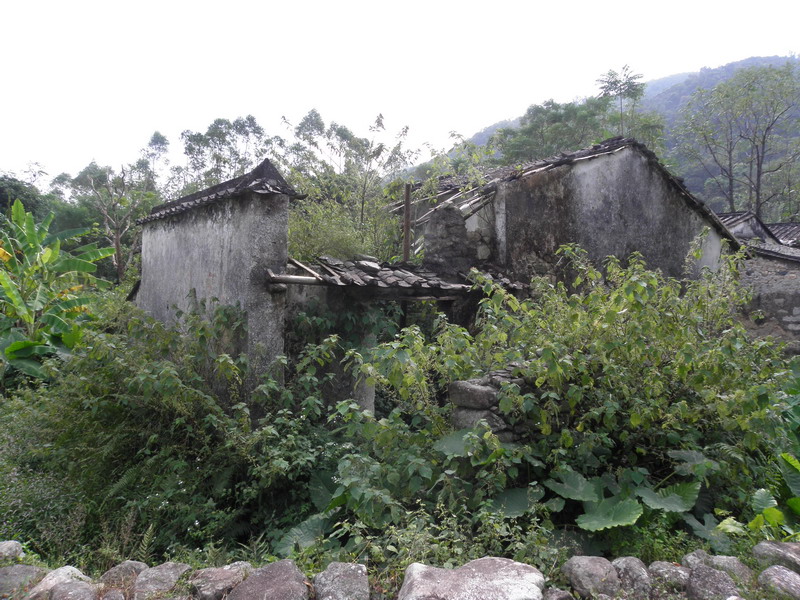 PA170101.jpg