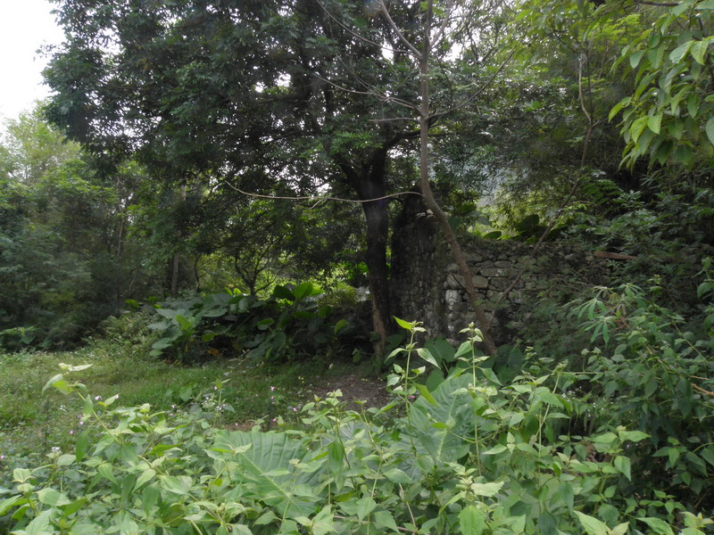 PA170108.jpg