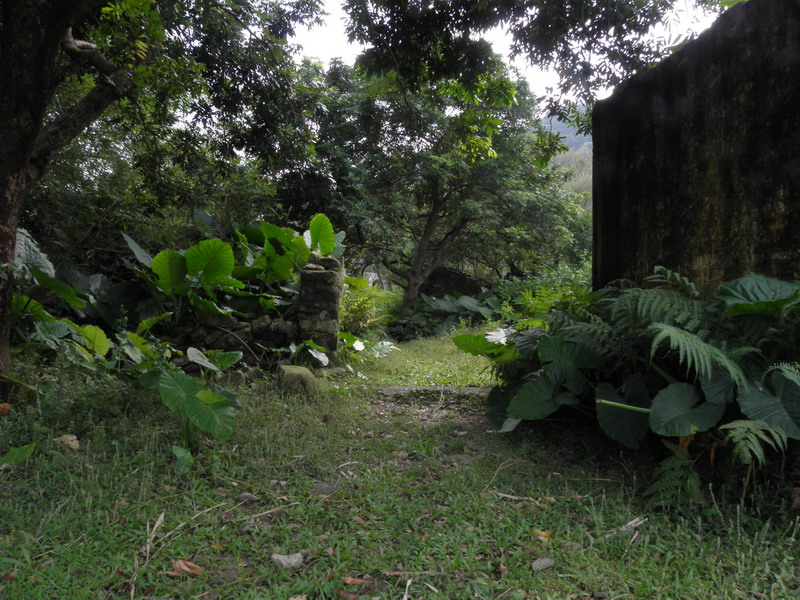 PA170113.jpg