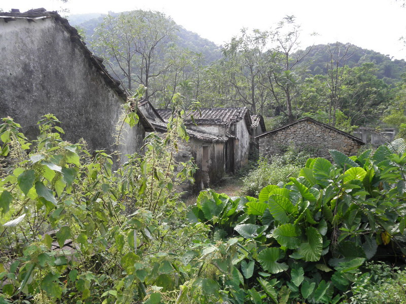 PA170102.jpg