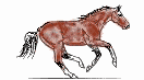 20098463935.gif