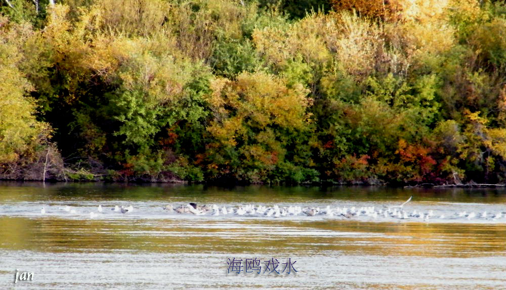 DSCF4173=0.jpg