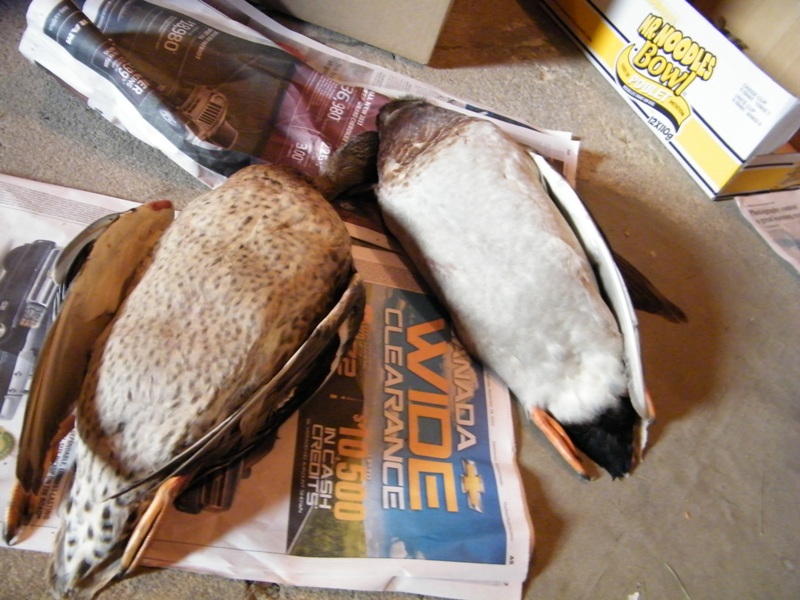 DSCF4327=0.jpg