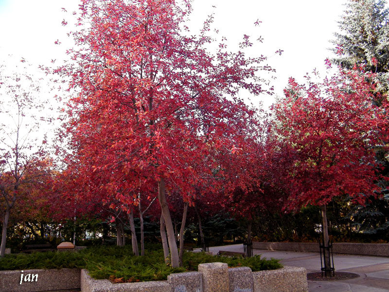DSCF4122=0.jpg