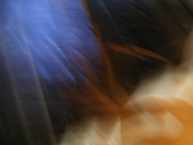 DSCF4337=0.jpg