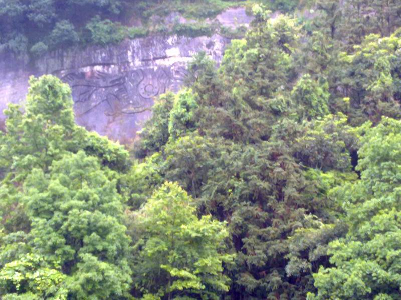 С 20100408233.jpg