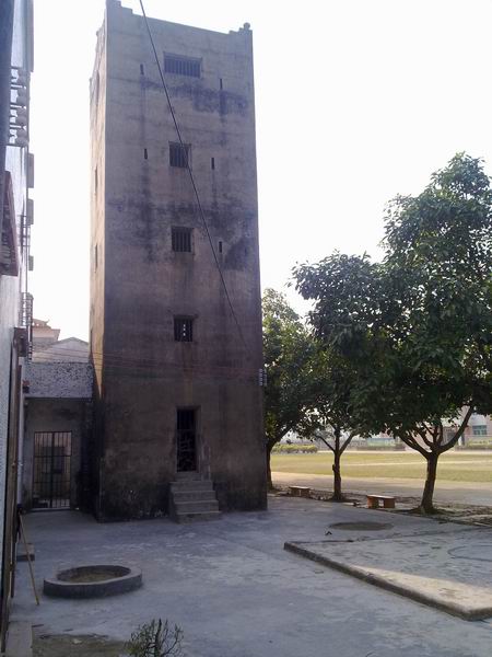 С 20101111675.jpg