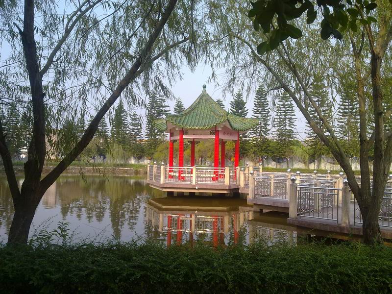 С 20101107627.jpg