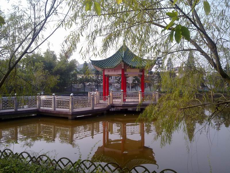С 20101107631.jpg