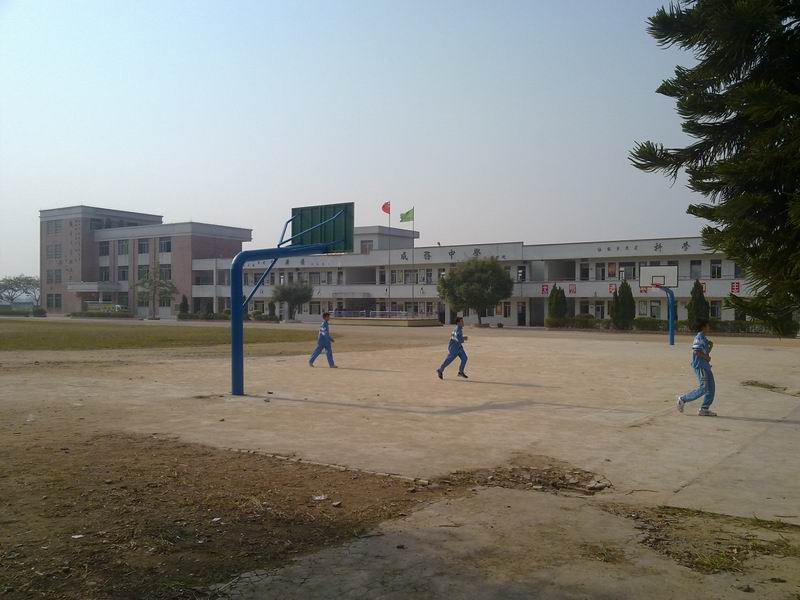 С 20101111670.jpg