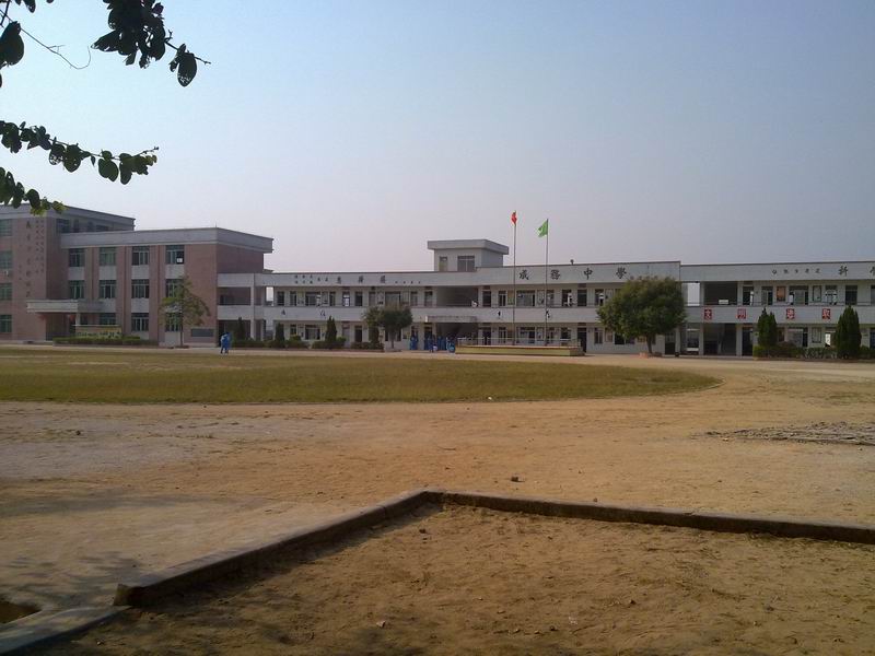 С 20101111673.jpg