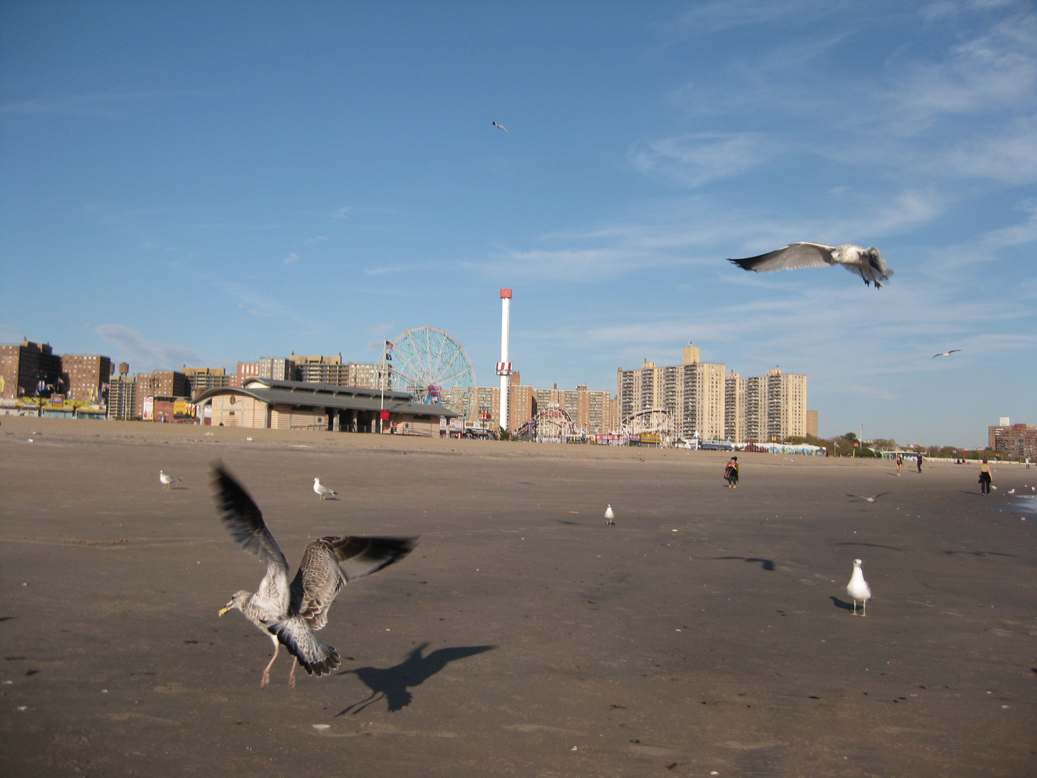 Long Island 095.jpg