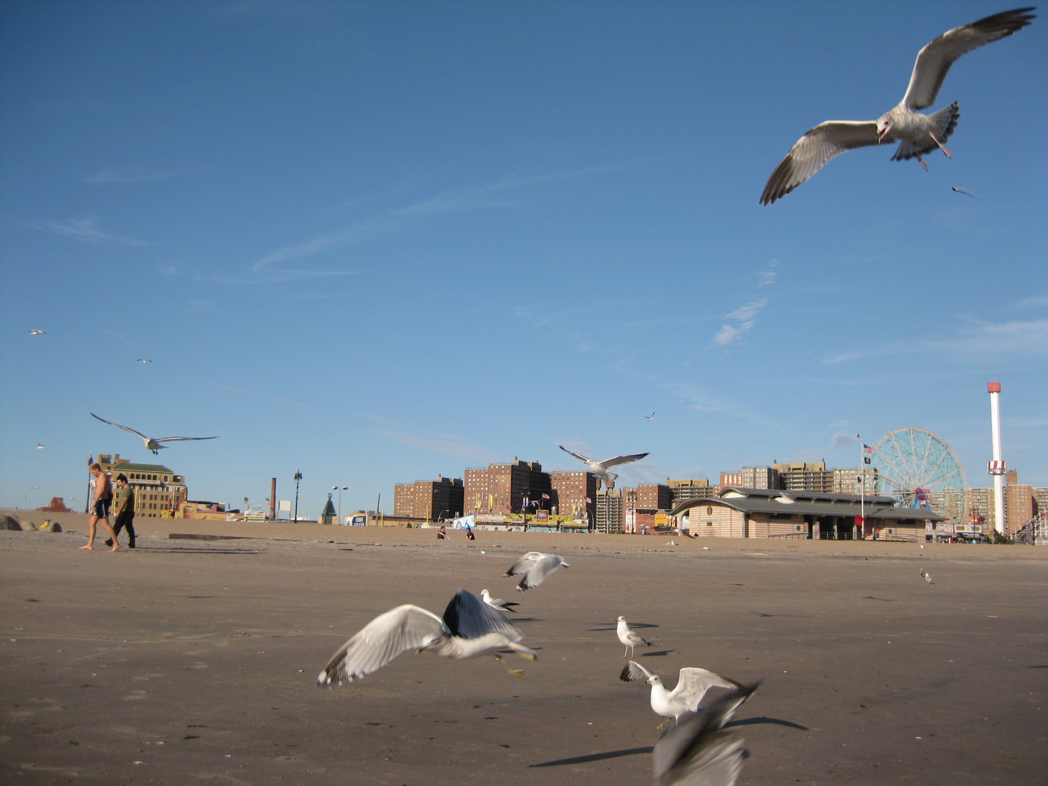 Long Island 091.jpg