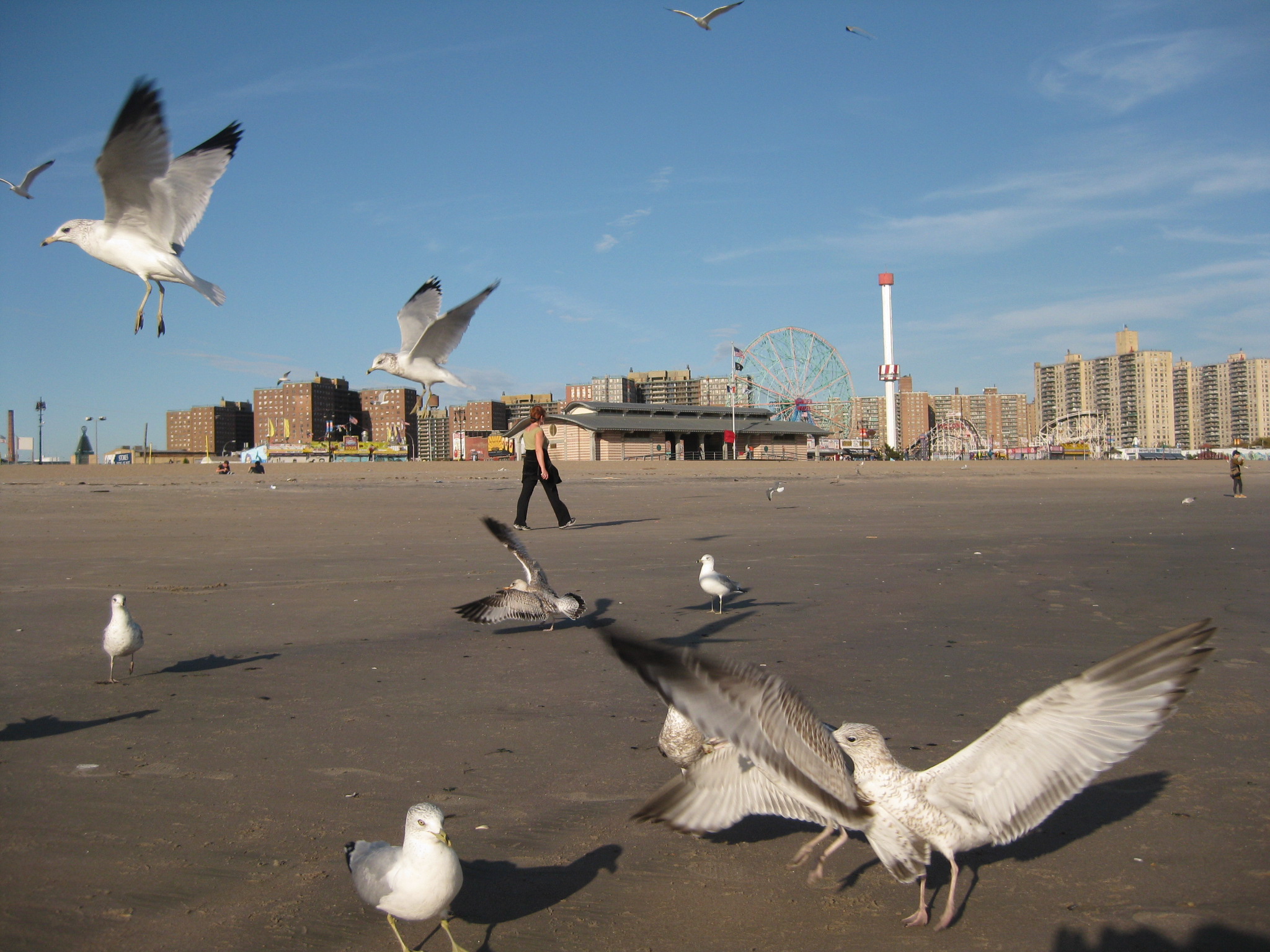 Long Island 094.jpg