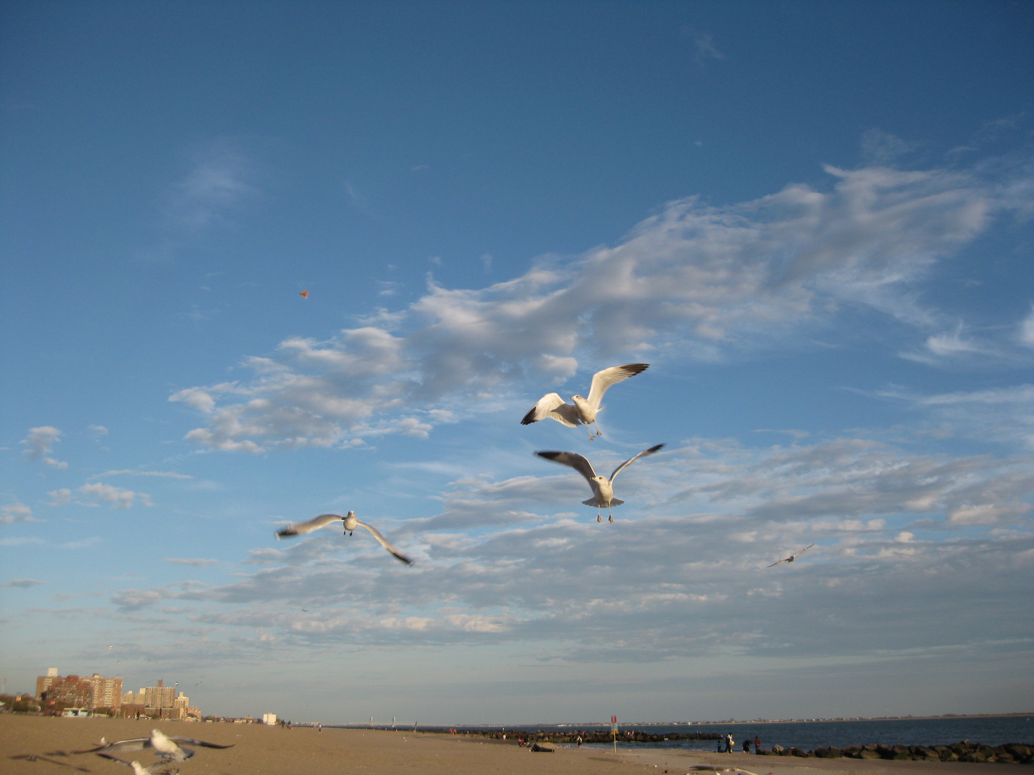 Long Island 163.jpg