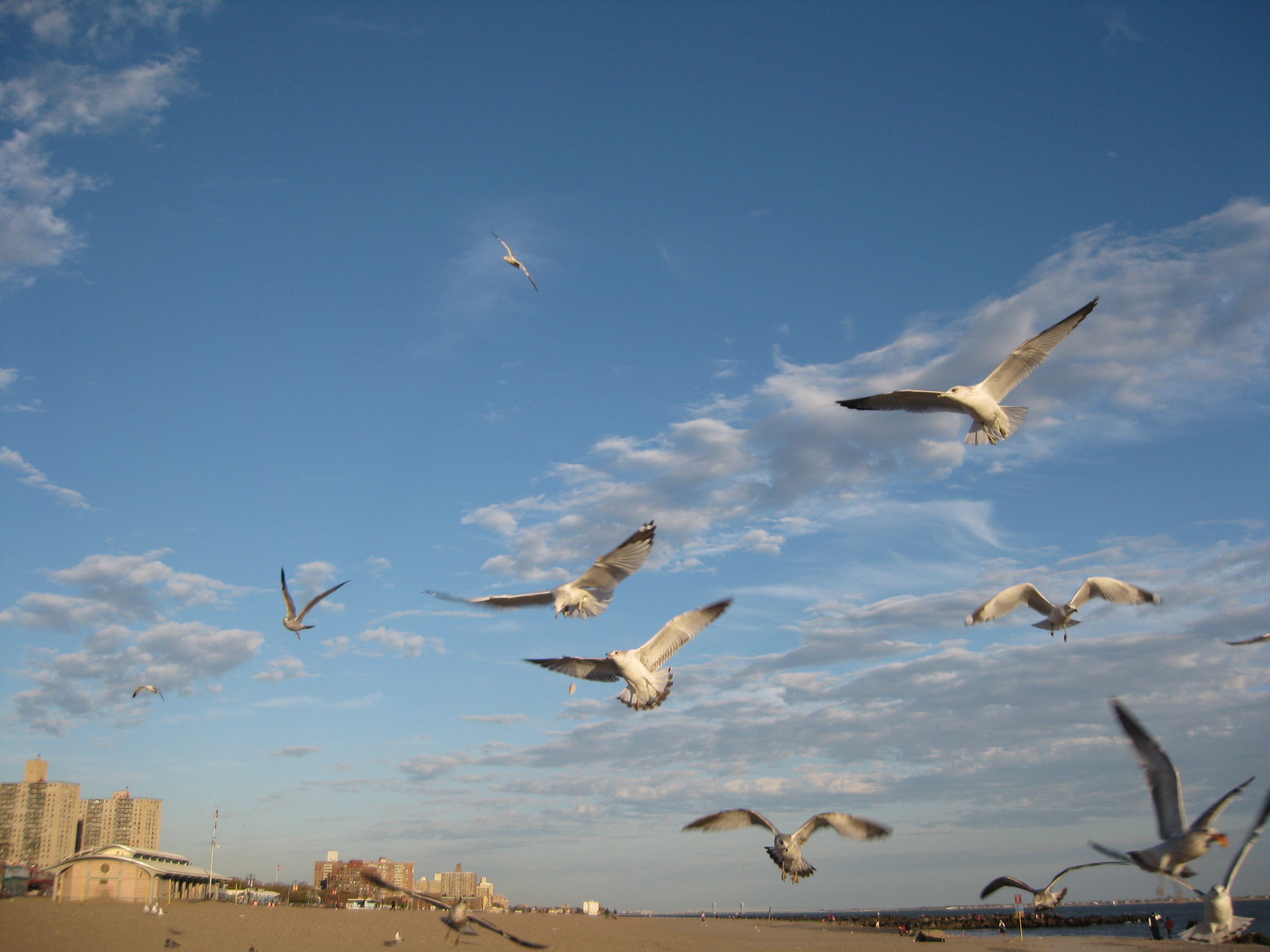 Long Island 162.jpg