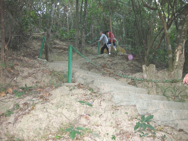 IMG_9545 (750x563)_.jpg