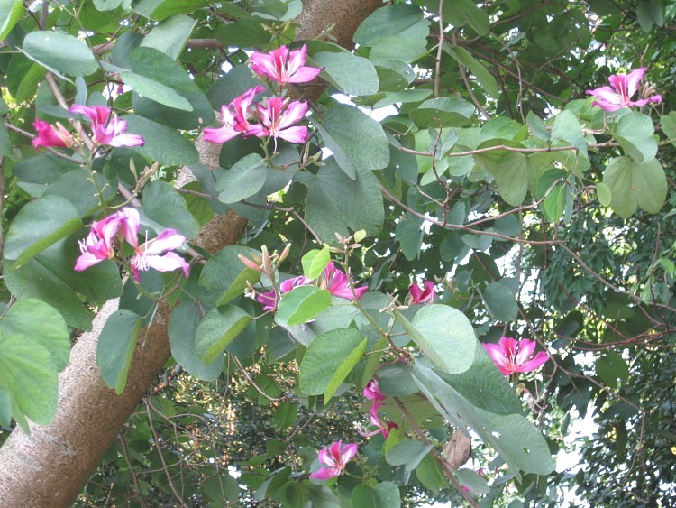 IMG_9591 (750x563)_.jpg