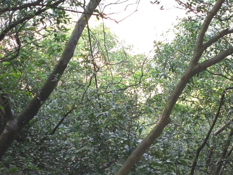 IMG_9578 (750x563)_.jpg