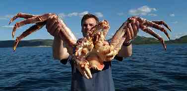 largest-king-crab.jpg