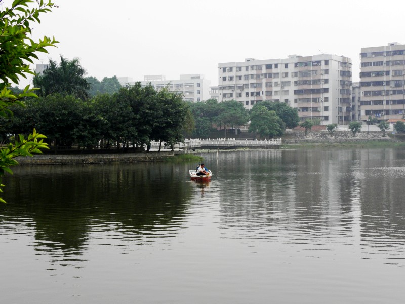 PB222555.JPG