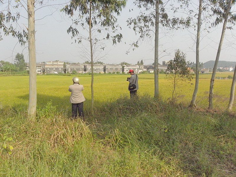 PB020759.jpg