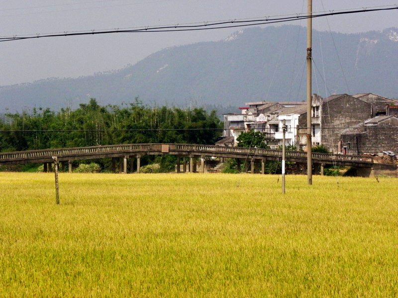 PB142030.jpg