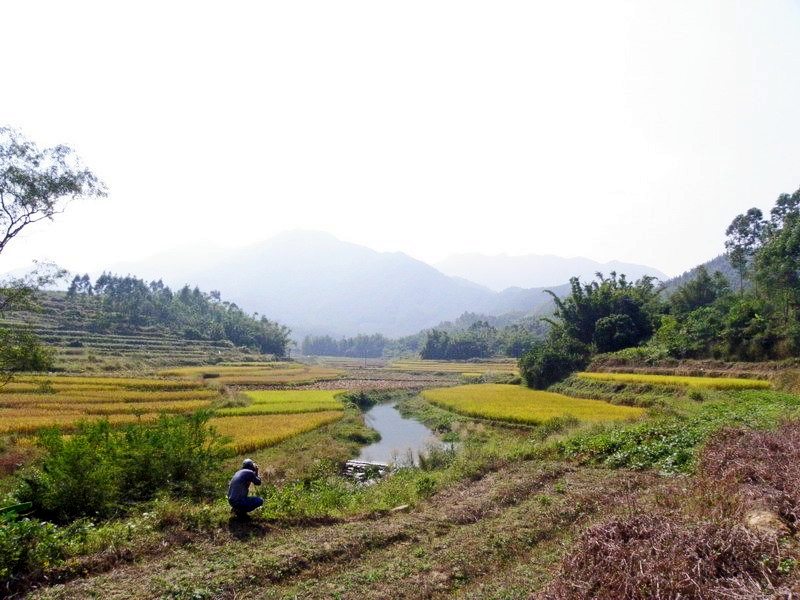 PB142130.jpg