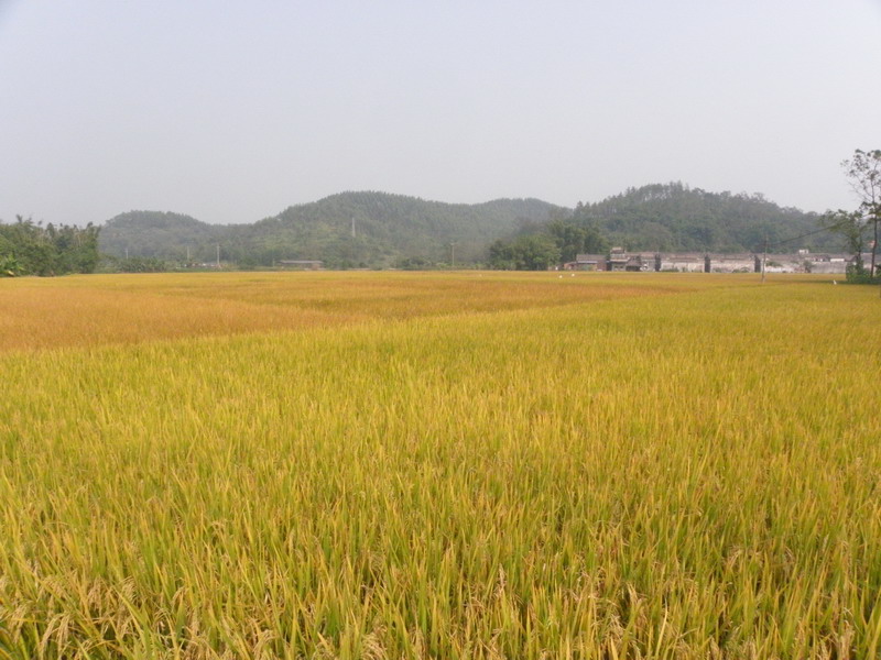 PB020735.jpg