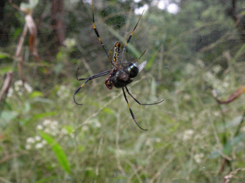 PB222515.jpg